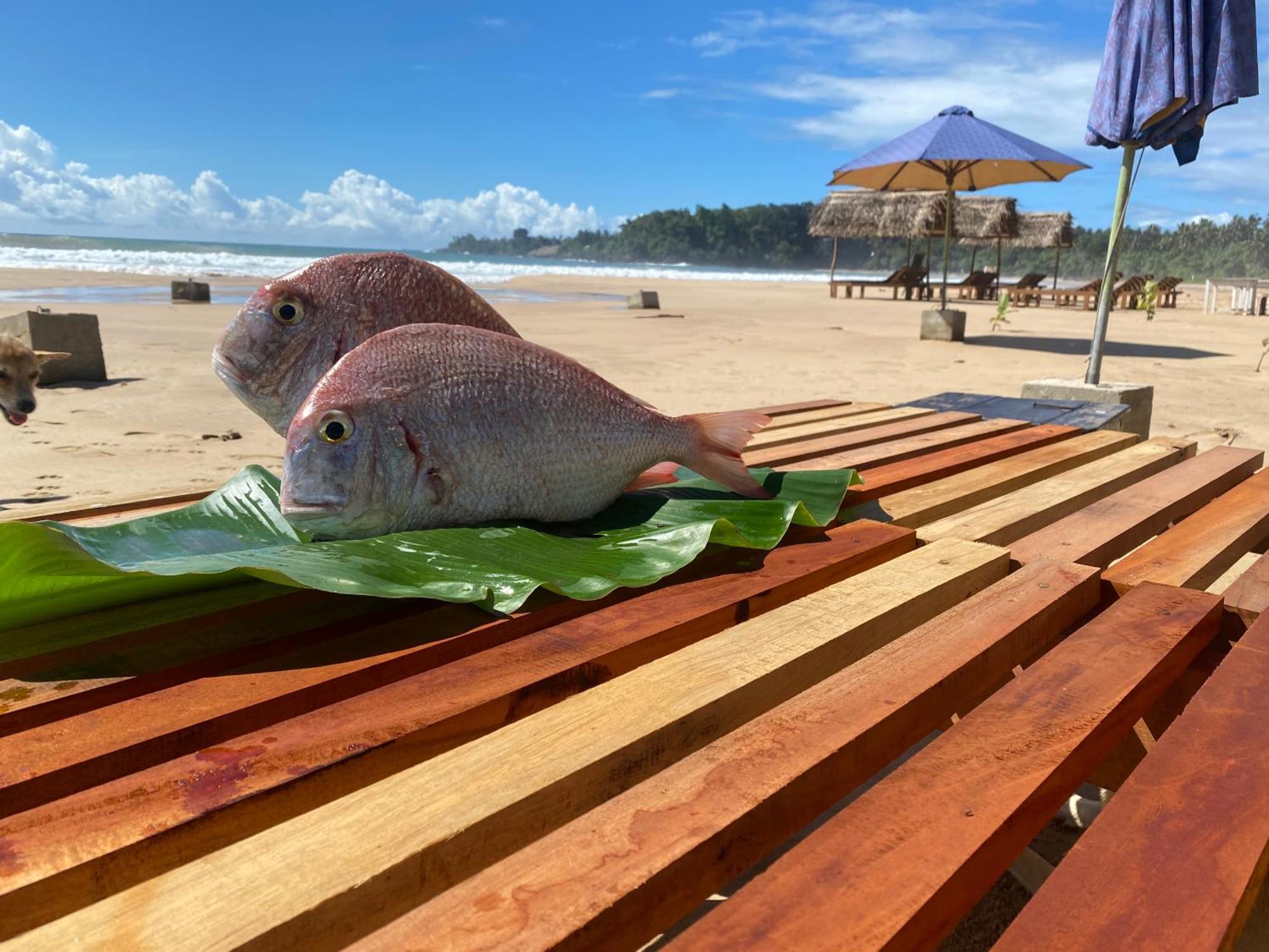 Talalla Bay Beach Exterior foto